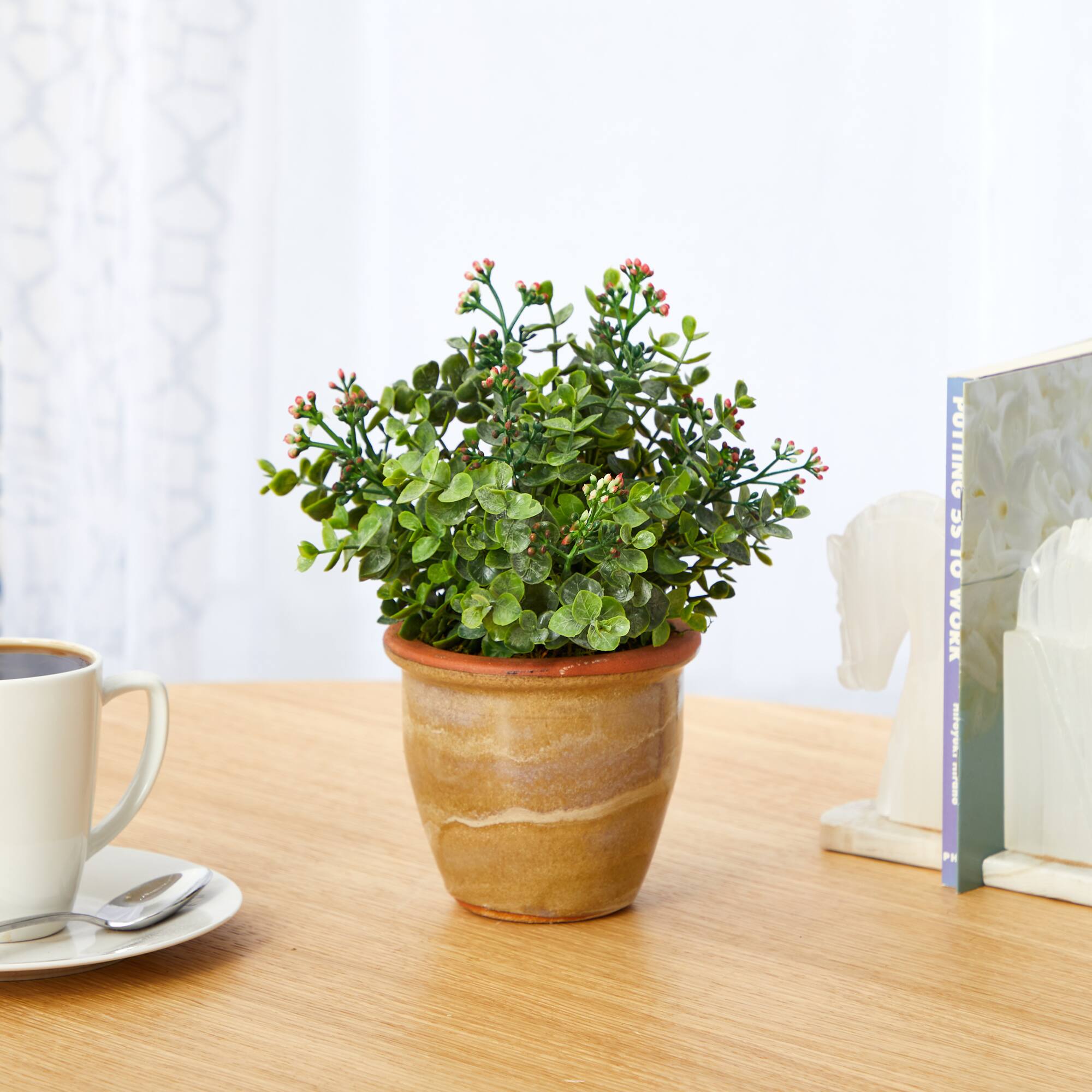 10" Eucalyptus & Sedum Succulent Plant in Ceramic Planter